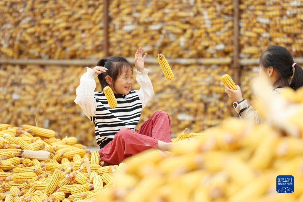 菠菜引流推广方式